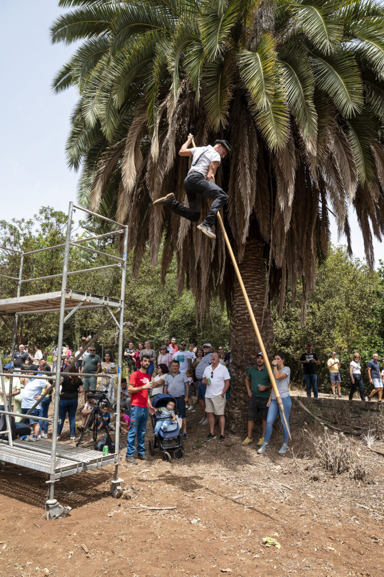 FERIA DE GANADO_508-watermarked