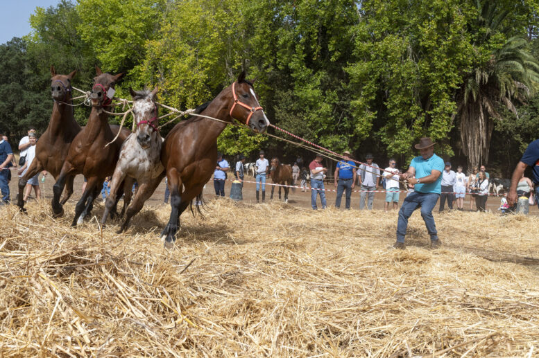 FERIA DE GANADO_66-watermarked