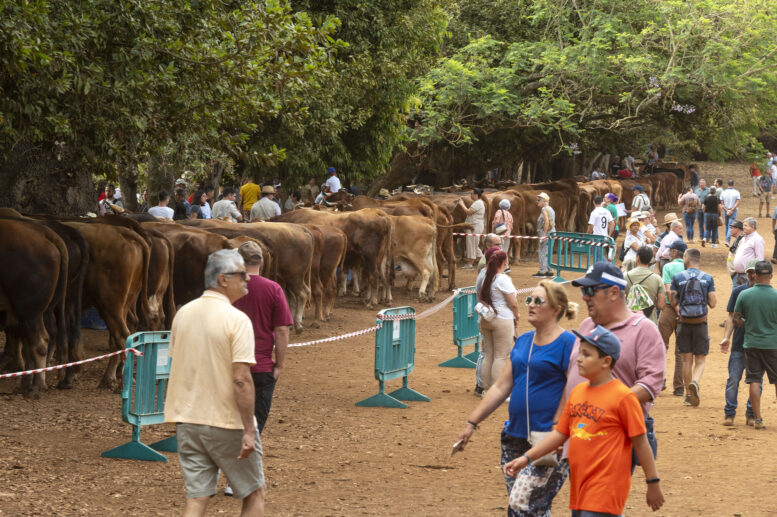 FERIA DE GANADO_93-watermarked