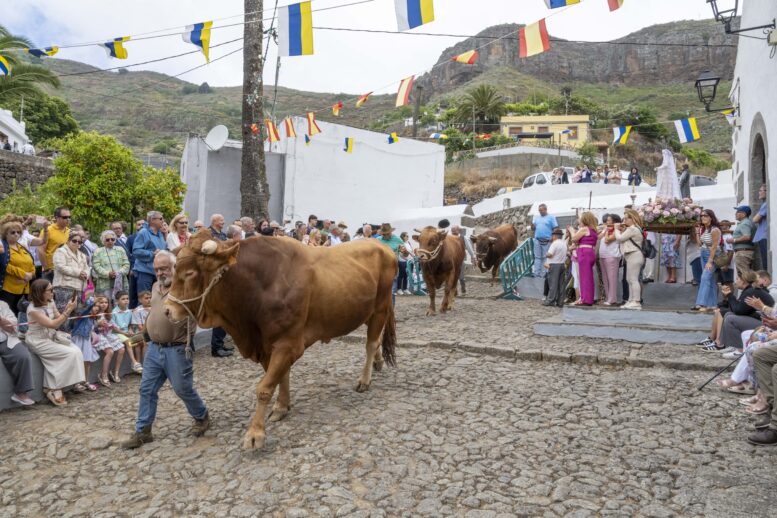 San Isidro_66