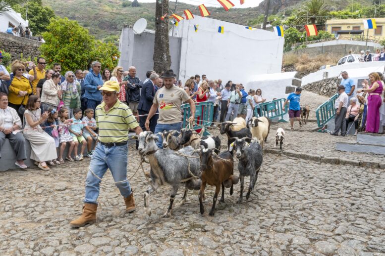 San Isidro_82