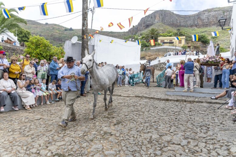 San Isidro_89