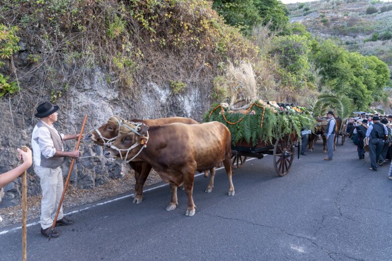 romeria_1