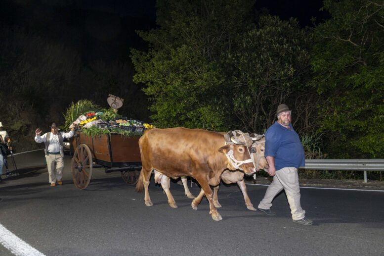 romeria_18