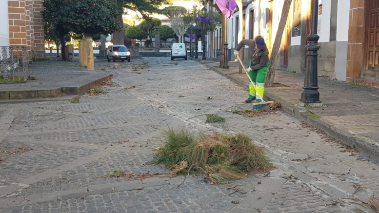 20_THERESE-TEROR-incidencias12
