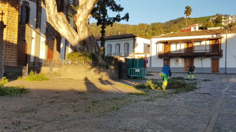 20_THERESE-TEROR-incidencias14