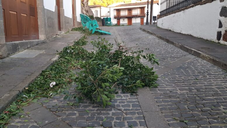 20_THERESE-TEROR-incidencias19