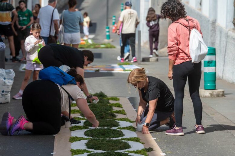 15_alfombras_SCJ_013