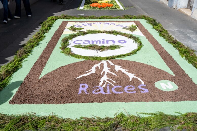 15_alfombras_SCJ_04-1