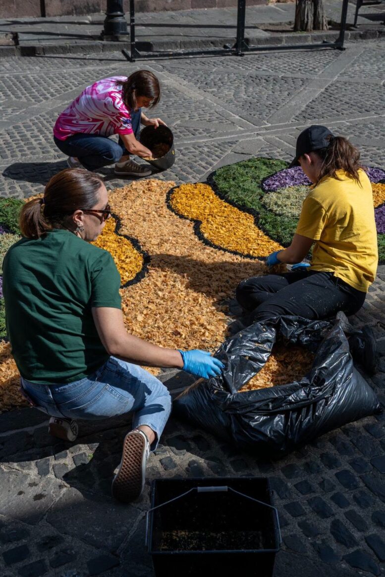 15_alfombras_SCJ_08