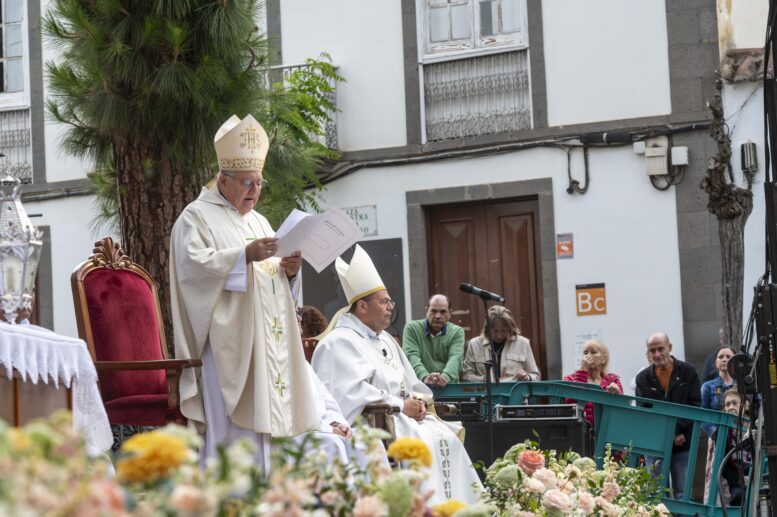 campaña_51
