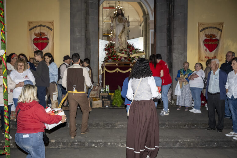 traida_335