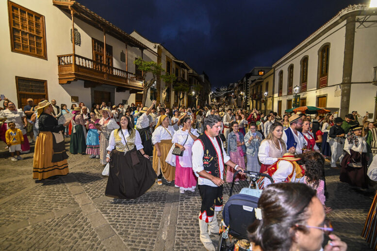 verbena canaria_12