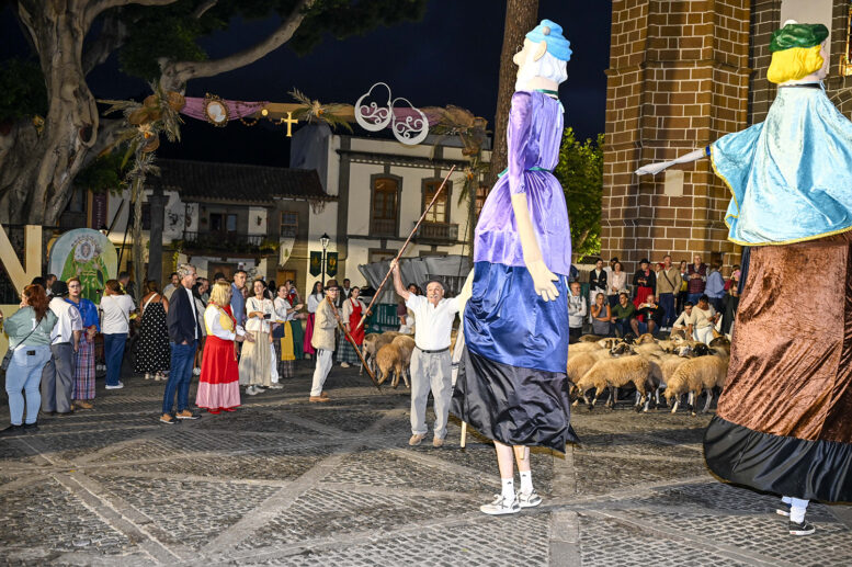 verbena canaria_13