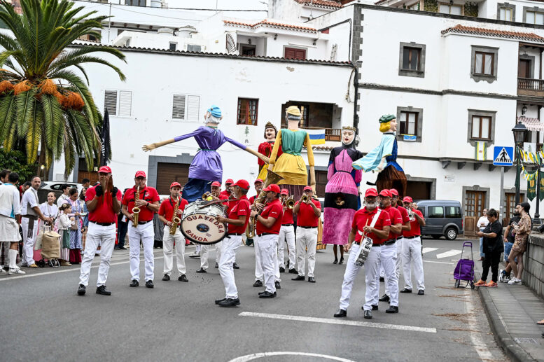 verbena canaria_3